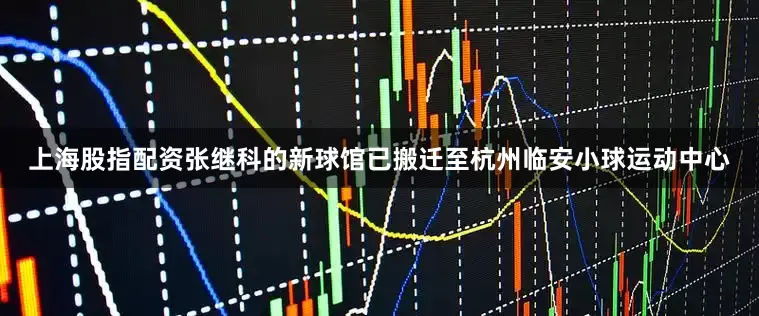 上海股指配资张继科的新球馆已搬迁至杭州临安小球运动中心