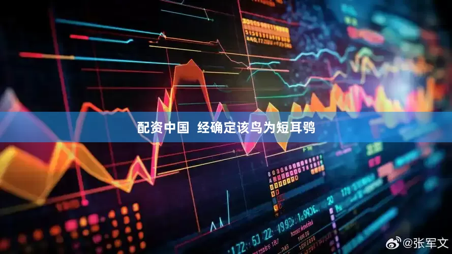 配资中国  经确定该鸟为短耳鸮