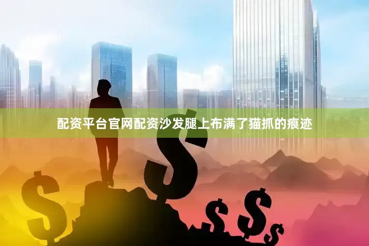配资平台官网配资沙发腿上布满了猫抓的痕迹