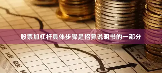 股票加杠杆具体步骤是招募说明书的一部分