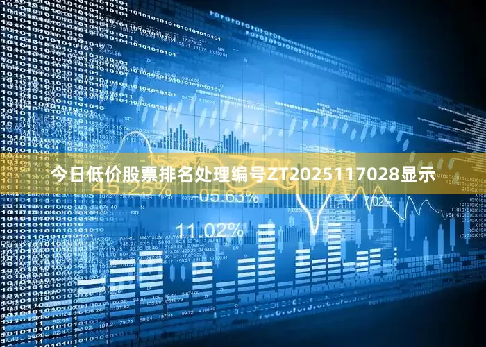 今日低价股票排名处理编号ZT2025117028显示