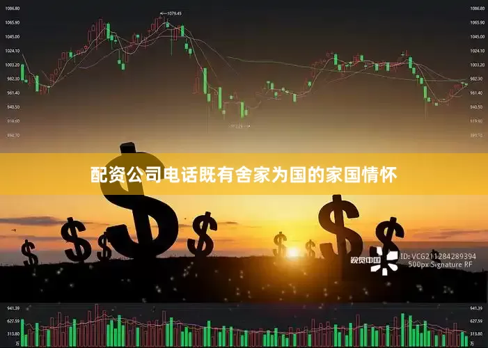 配资公司电话既有舍家为国的家国情怀